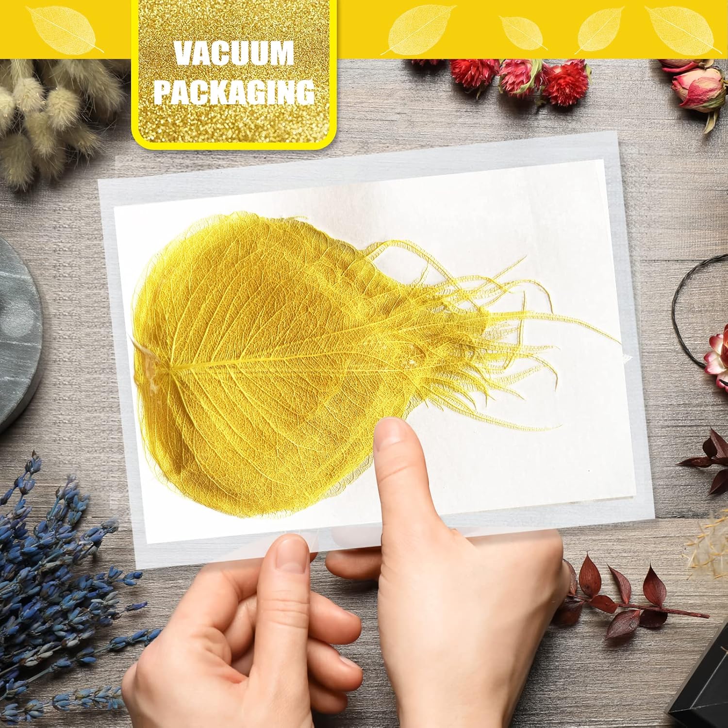 Natural Skeleton Leaves Vein for Resin Craft 42PCS