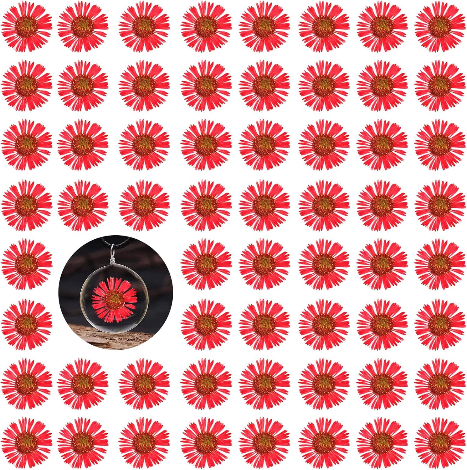 60PCS Natural Dried Chrysanthemum Flowers for Resin Jewelry and Craft