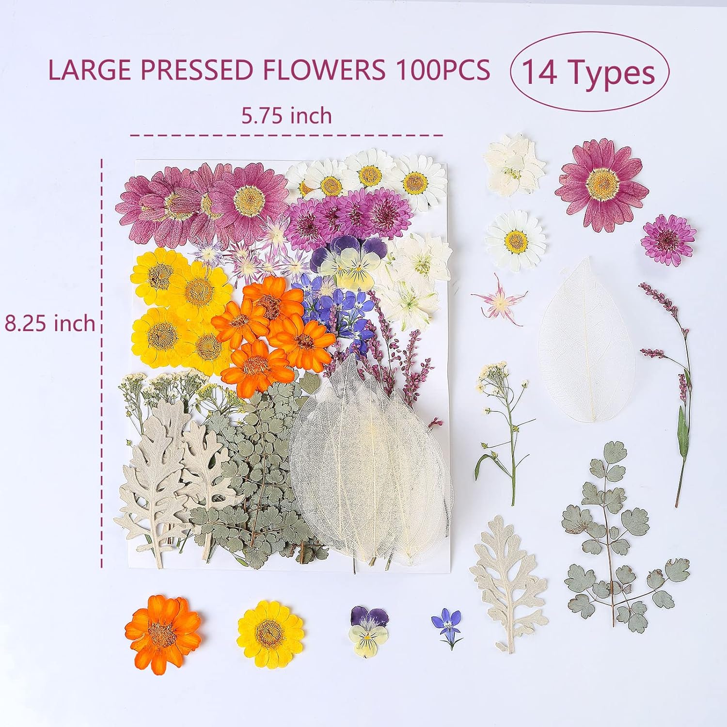 100 PCS Real Dried Pressed Flowers Leaves for Resin Jewelry Crafting - Purple