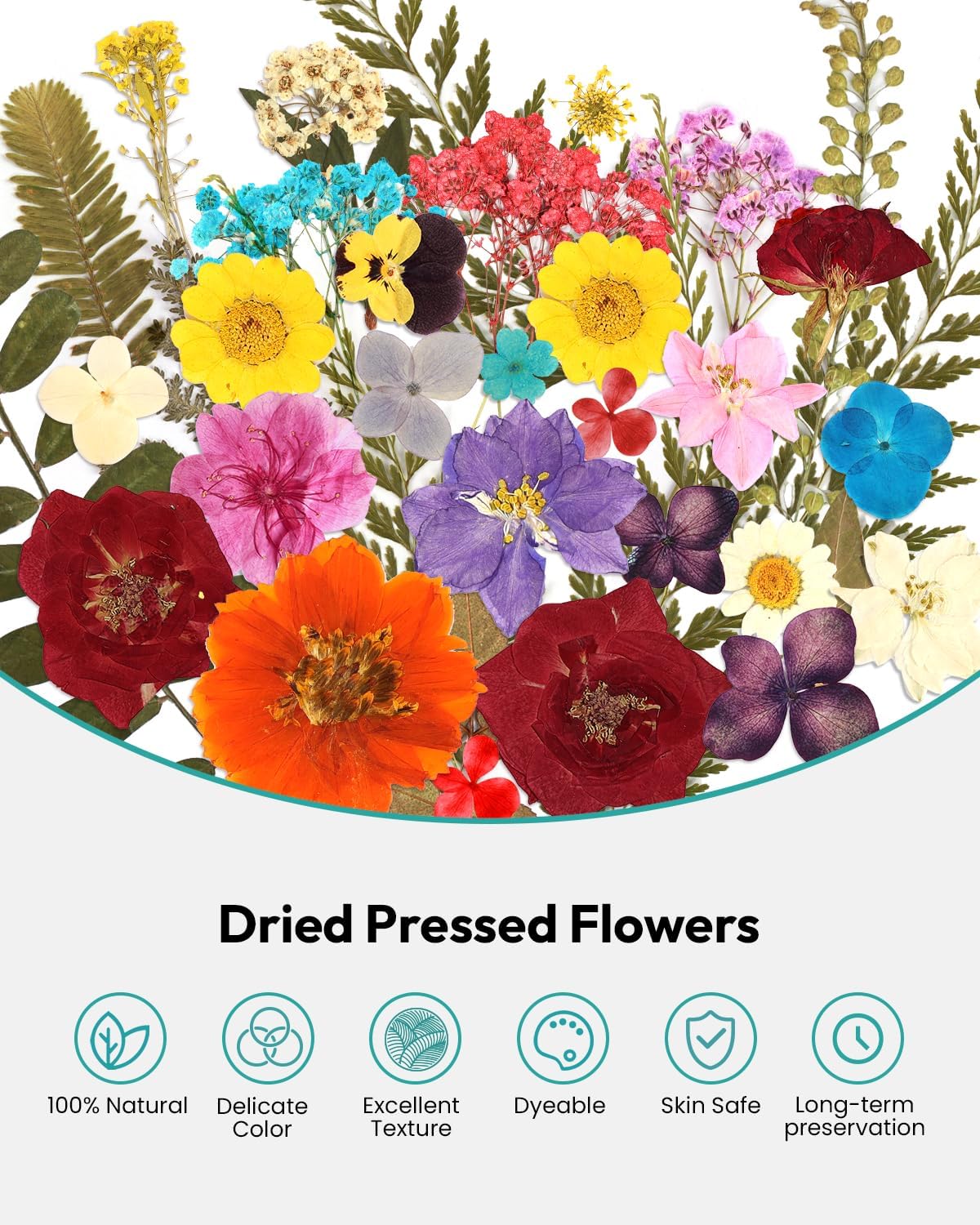 174 Pcs Dried Flowers Pressed for Craft Projects