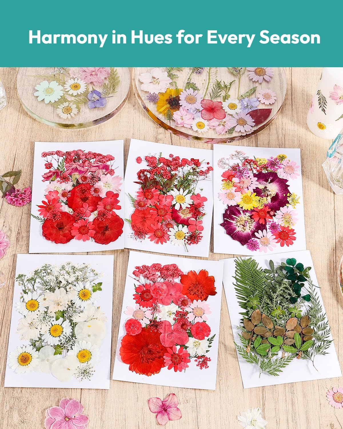 Resiners Cherry Dried Flowers 174pcs Craft Kit
