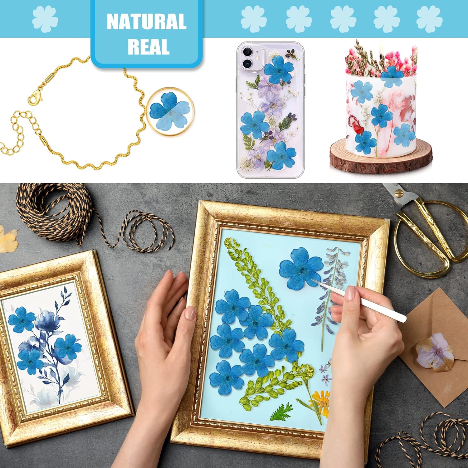 Blue Dried Cherry Blossom Flowers for Resin Decor 60PCS