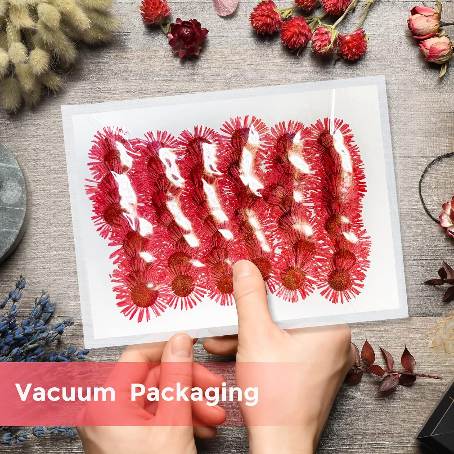 60PCS Natural Dried Chrysanthemum Flowers for Resin Jewelry and Craft