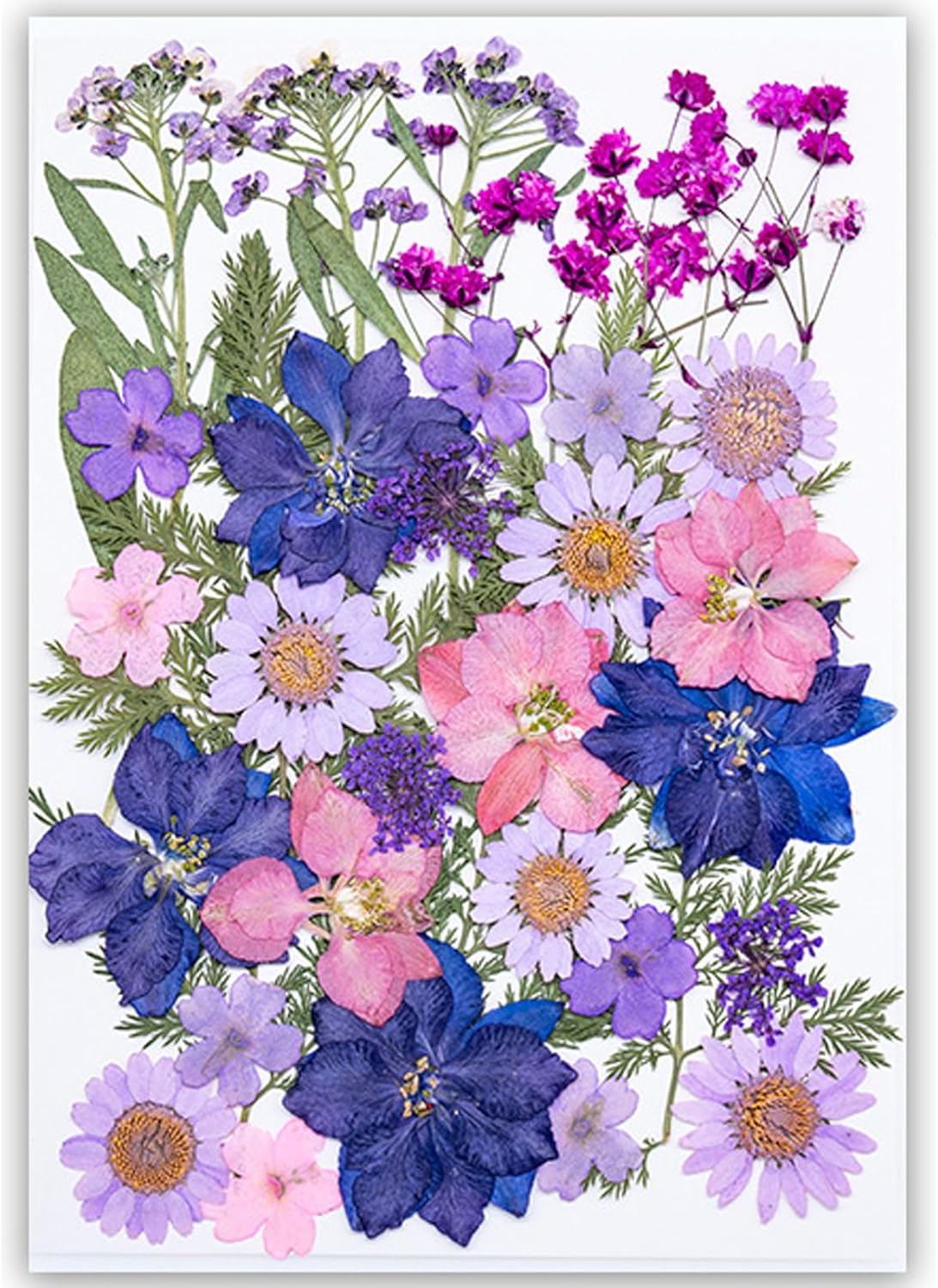 35Pcs Dried Pressed Flowers for Resin DIY Art Crafts