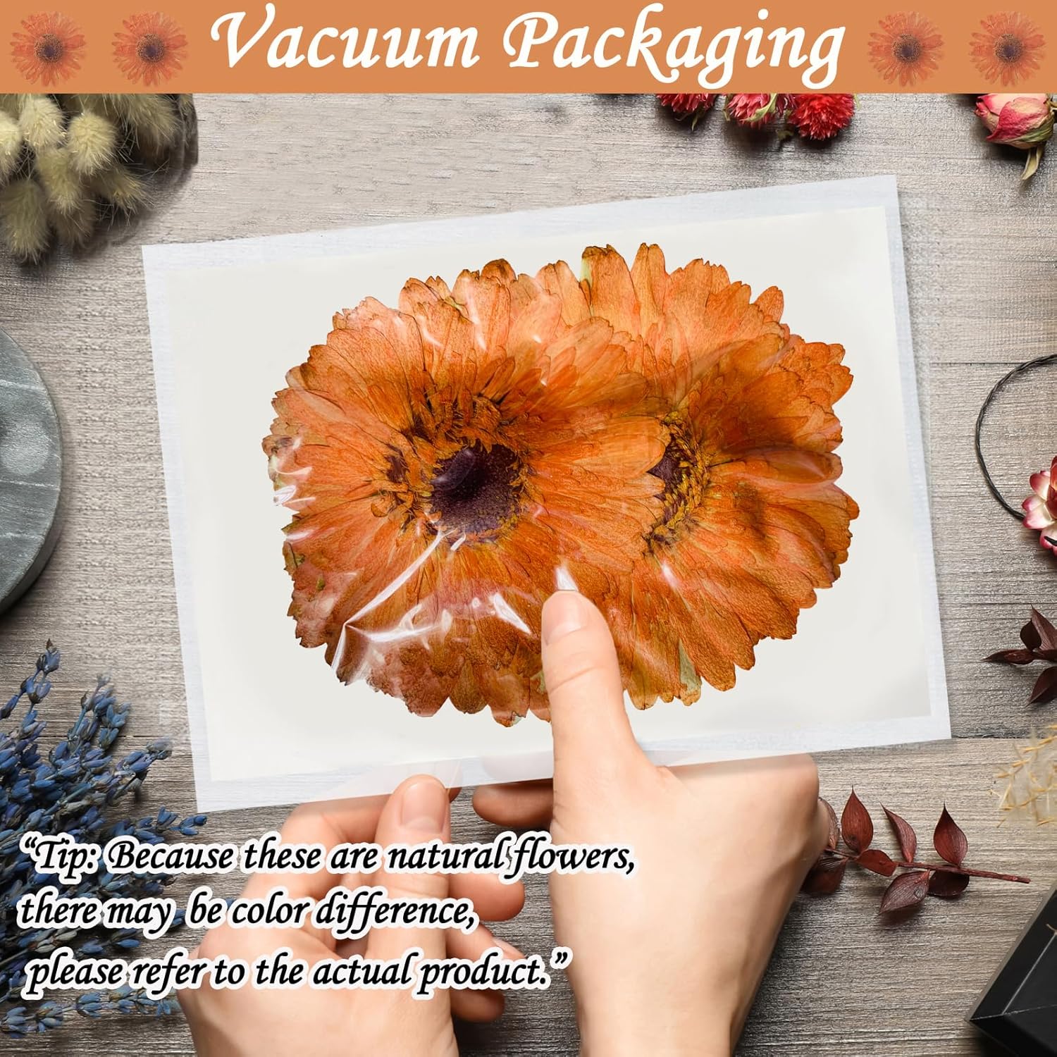 ALJ Large Dried Sunflowers for Resin Crafts Embellishment