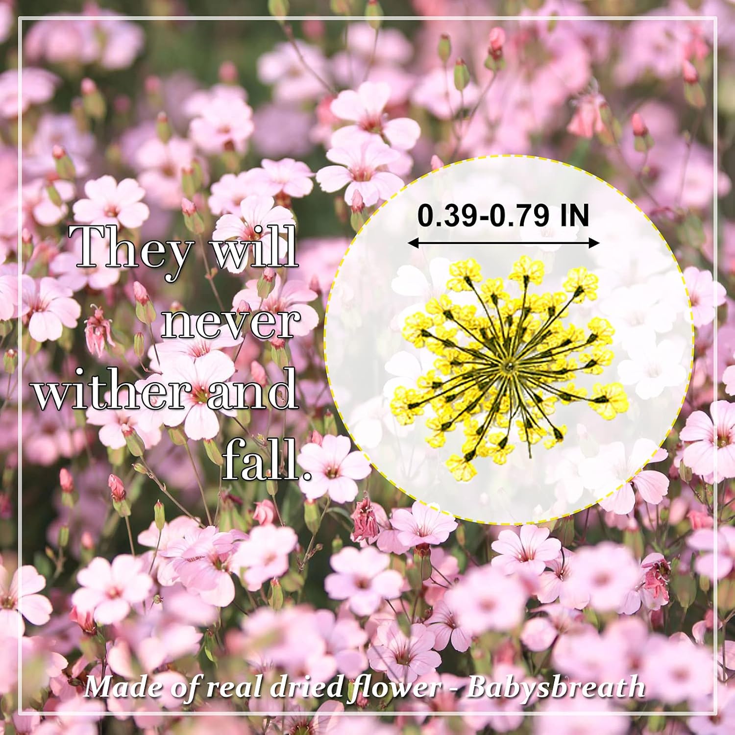 HEISENLIN Dried Gypsophila Flowers for Crafts and Artwork