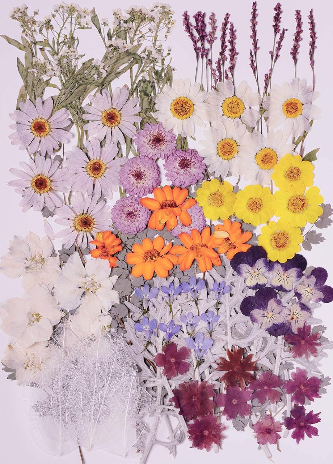 100 PCS Real Dried Pressed Flowers Leaves for Resin Jewelry Crafting - Purple