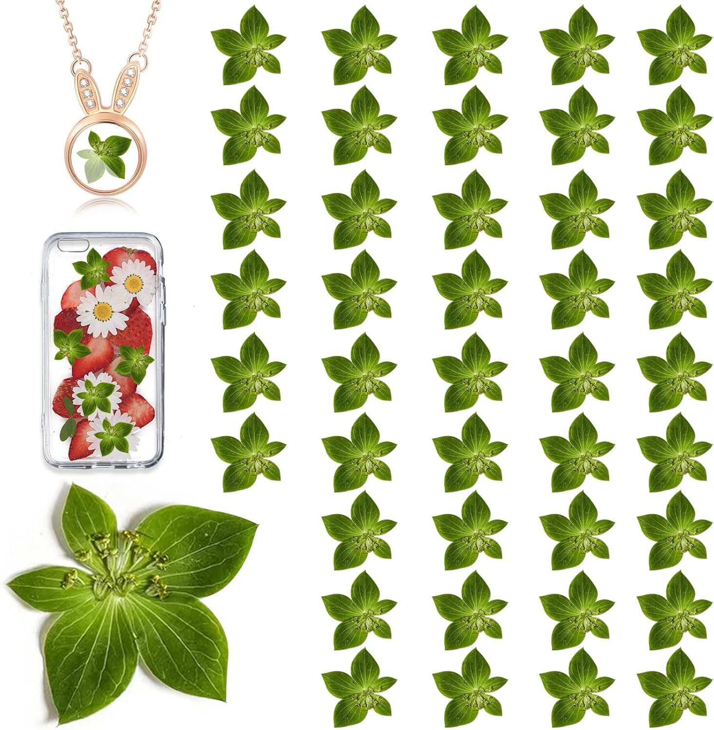 Green Dried Leaves for Resin Crafts 42PCS