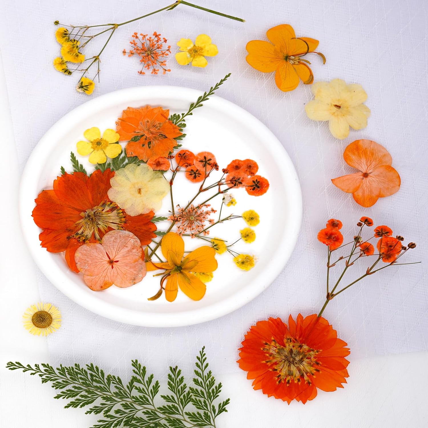 30Pcs Dried Pressed Flowers for Resin Art Crafts