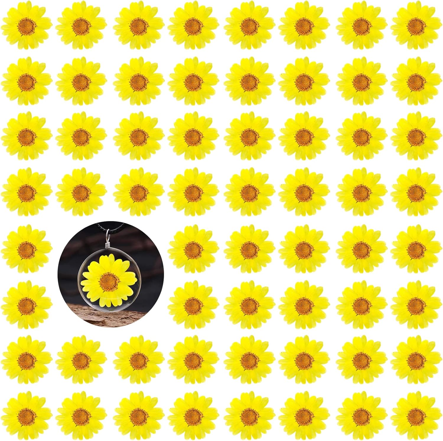 60PCS Yellow Dried Sunflowers for DIY Crafts
