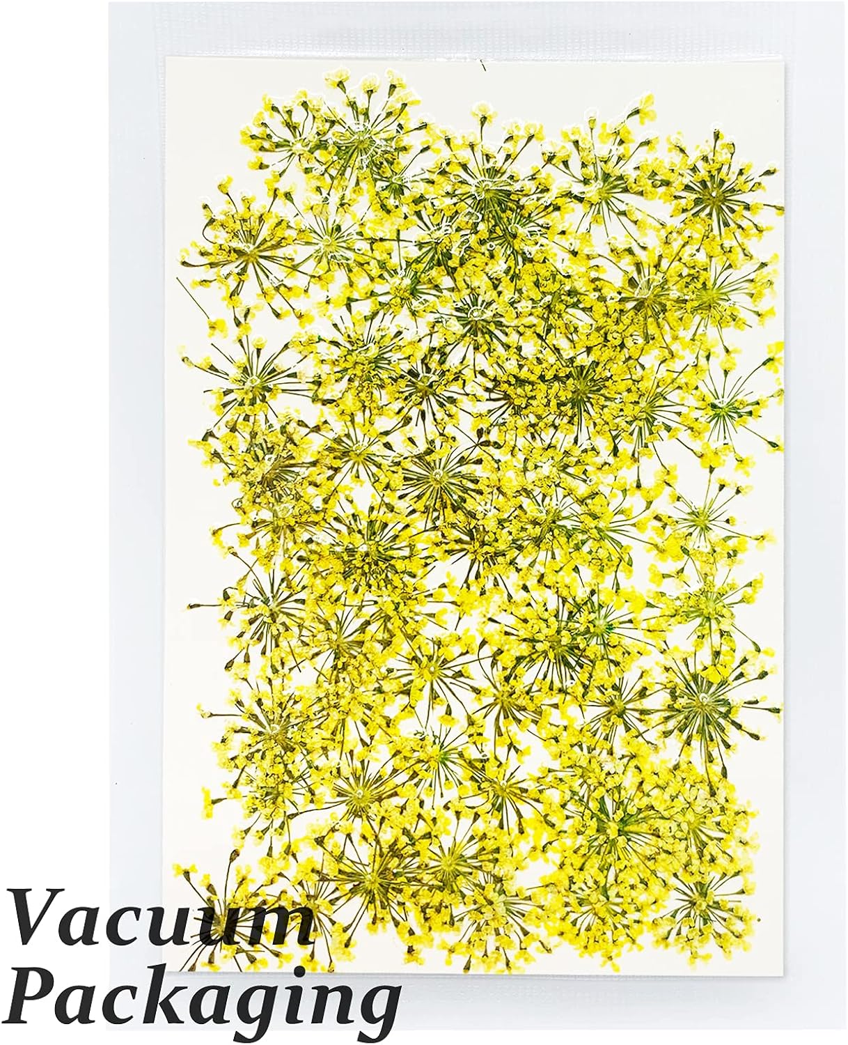 HEISENLIN Dried Gypsophila Flowers for Crafts and Artwork