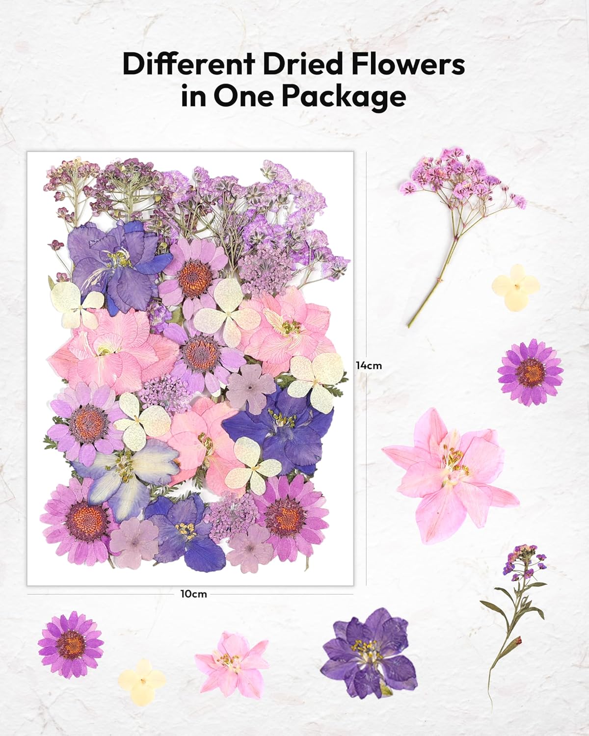 58 Pcs Dried Flowers Pressed Flowers Craft Kit