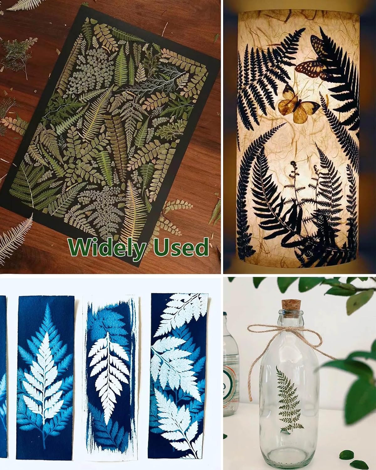 AHTONG 48PCS Natural Pressed Fern Leaves for Crafts and Resin Molds