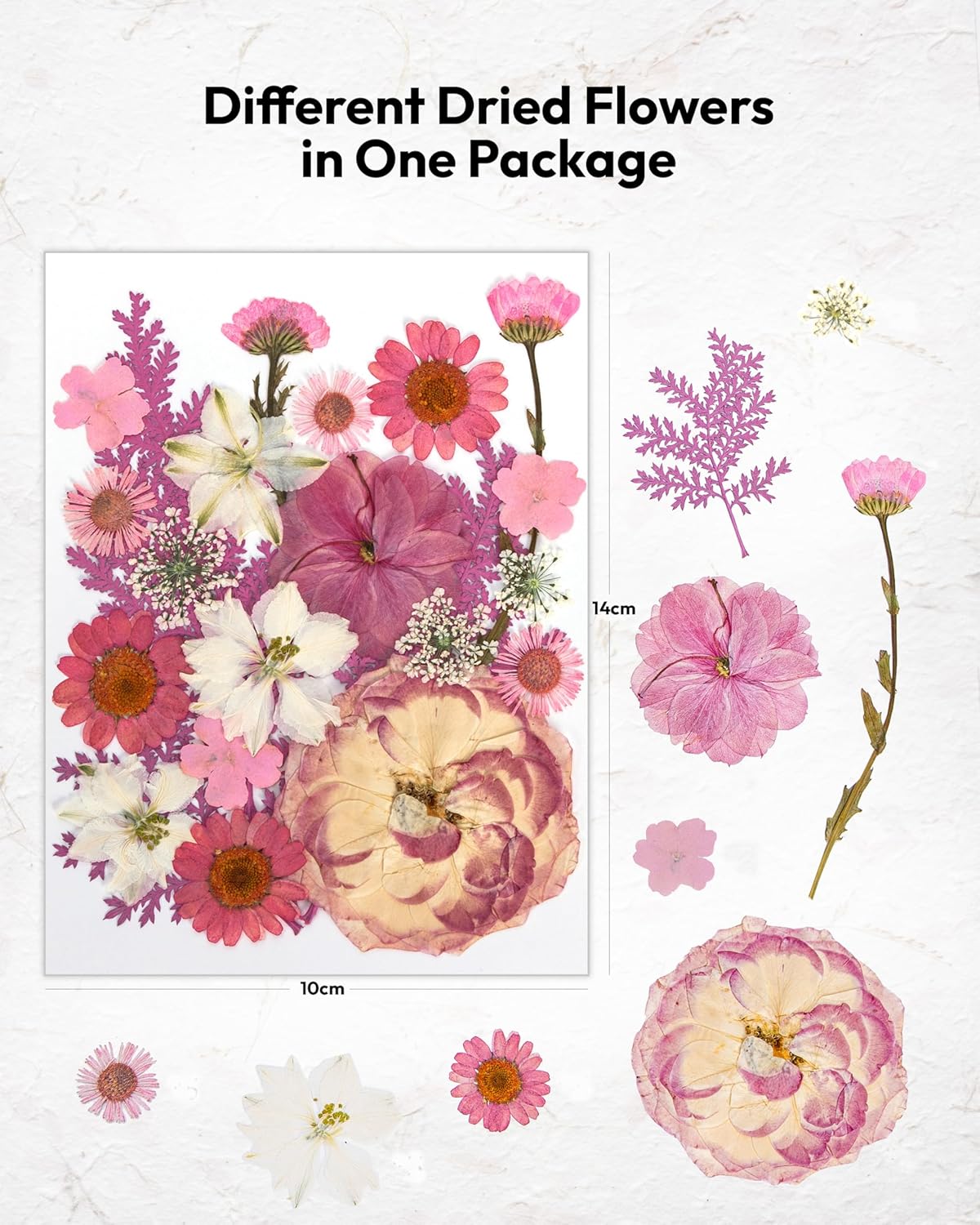 100 Pcs Dried Flowers for Resin Crafts and DIY Projects