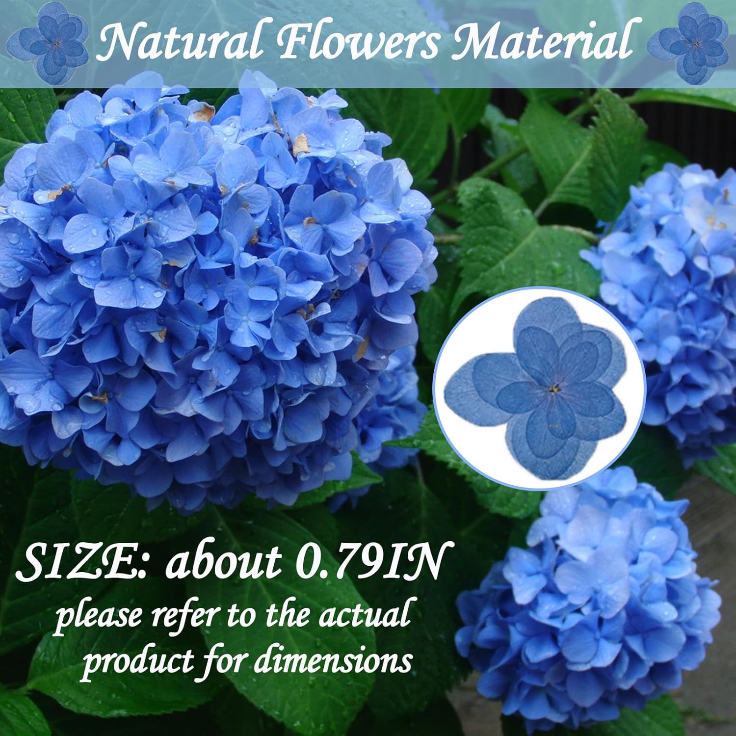 Blue Dried Flowers Double Hydrangea Resin Crafts Embellishments 60PCS