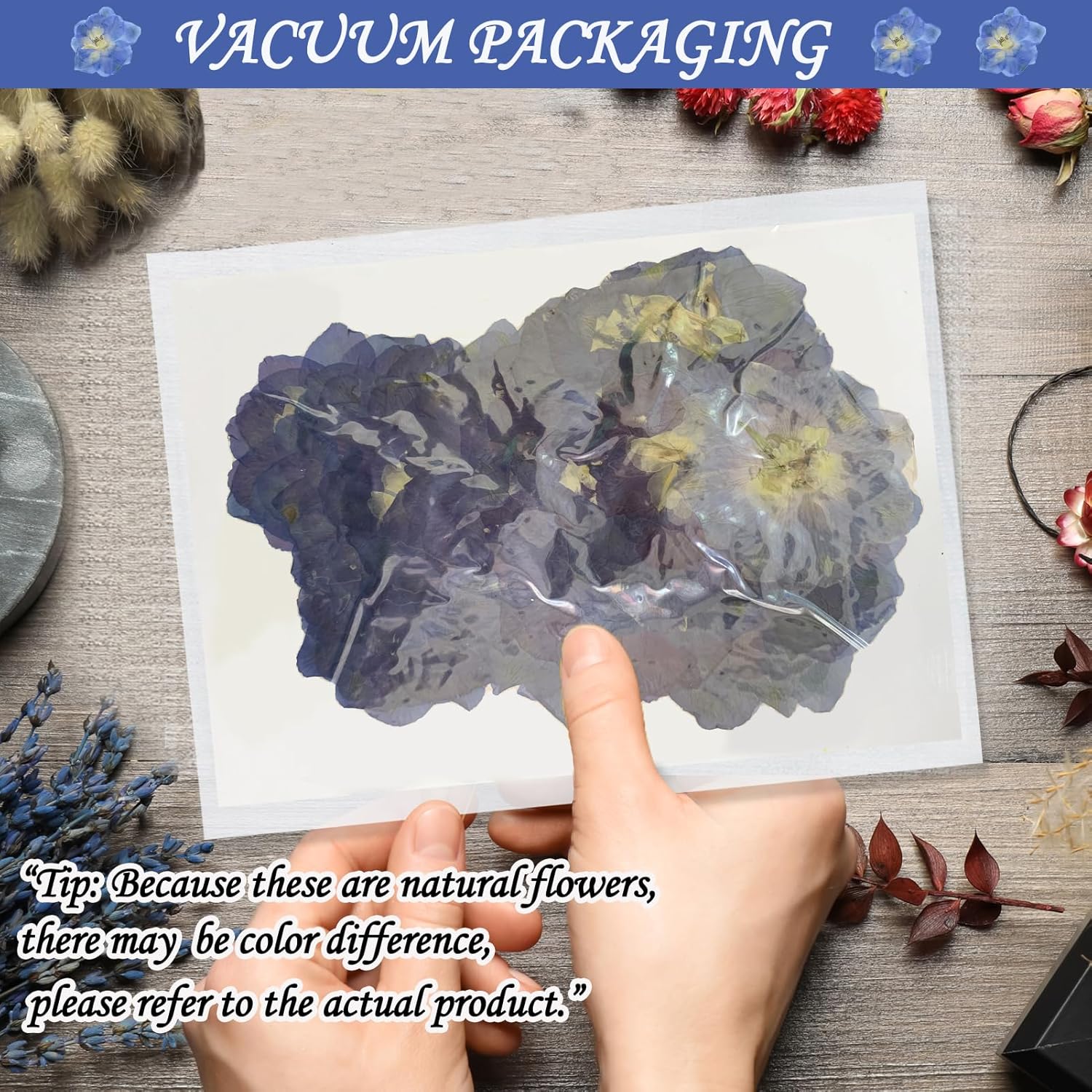Blue Dried Larkspur Flowers 60PCS for Resin Craft Decor