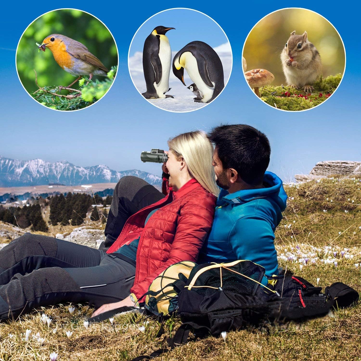 40X60 Monocular Telescope with Phone Adapter and Tripod