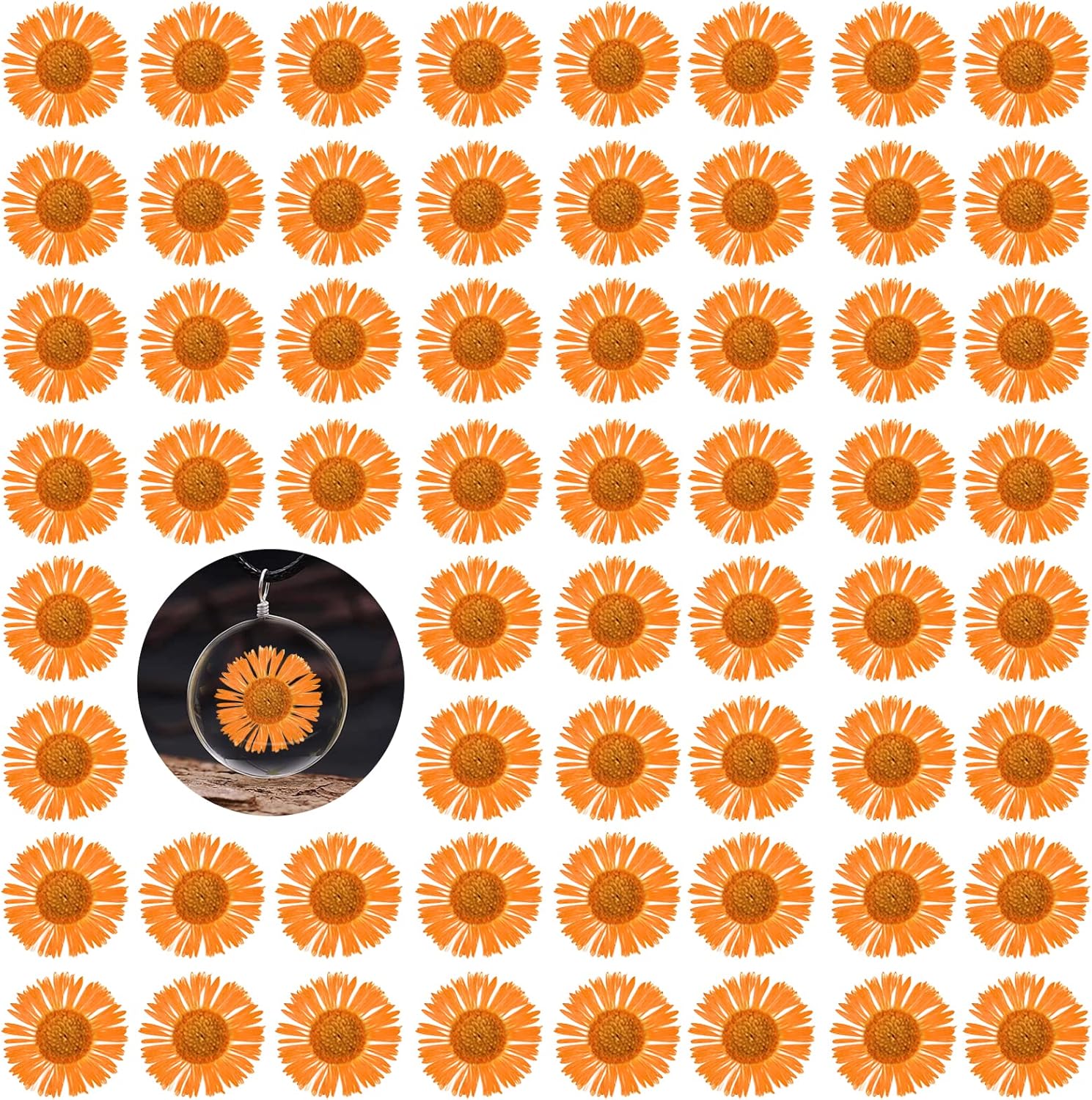 60PCS Dried Chrysanthemum Flowers for Resin Crafts