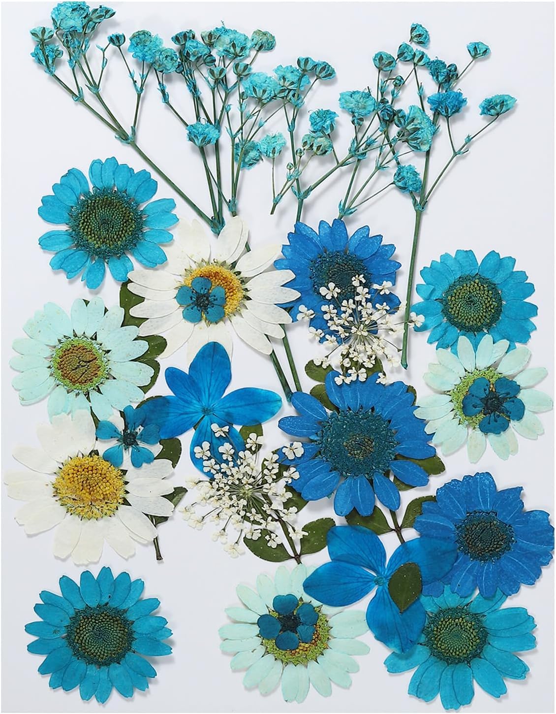 PATIKIL Dried Pressed Flowers Blue Series Art Craft Set