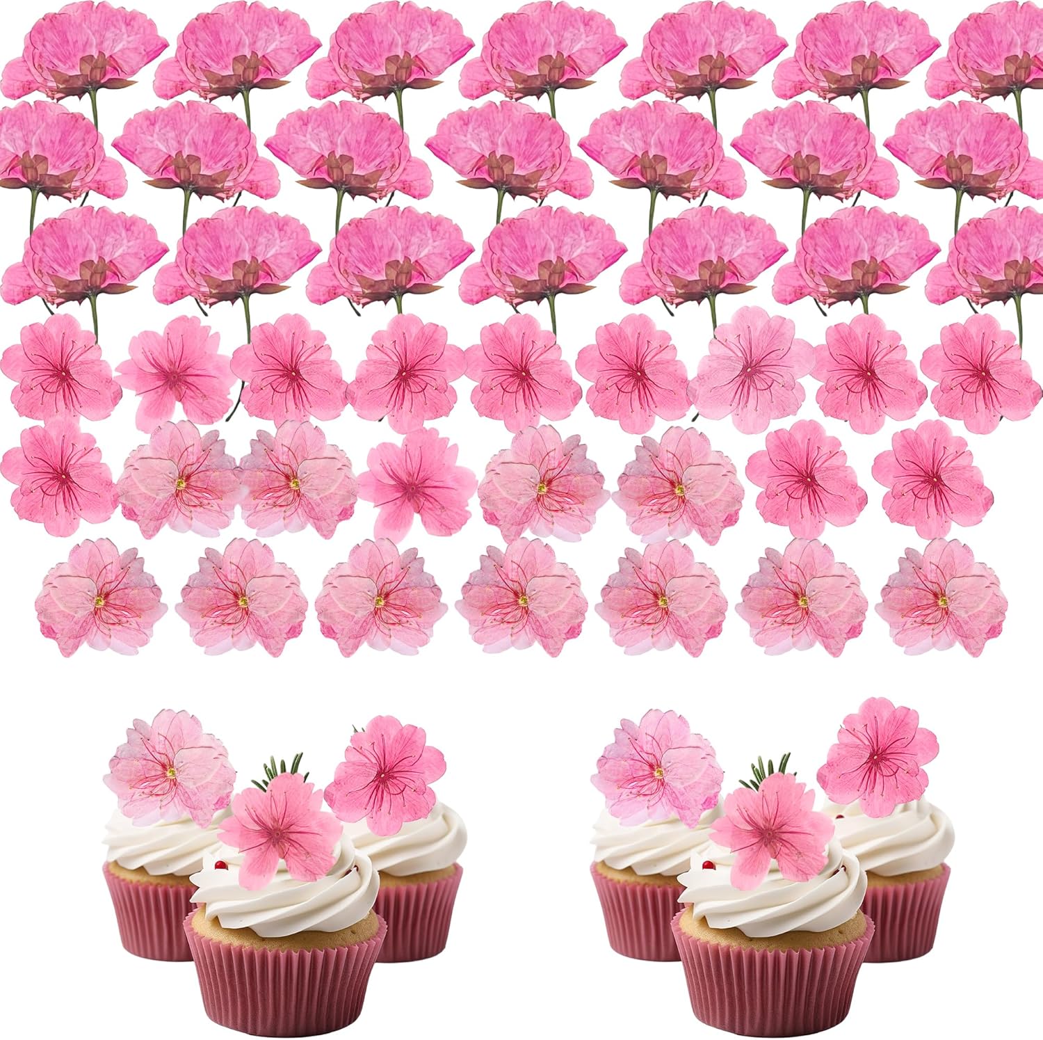 48 Pcs Pink Cherry Blossom Dried Pressed Flowers for Crafts
