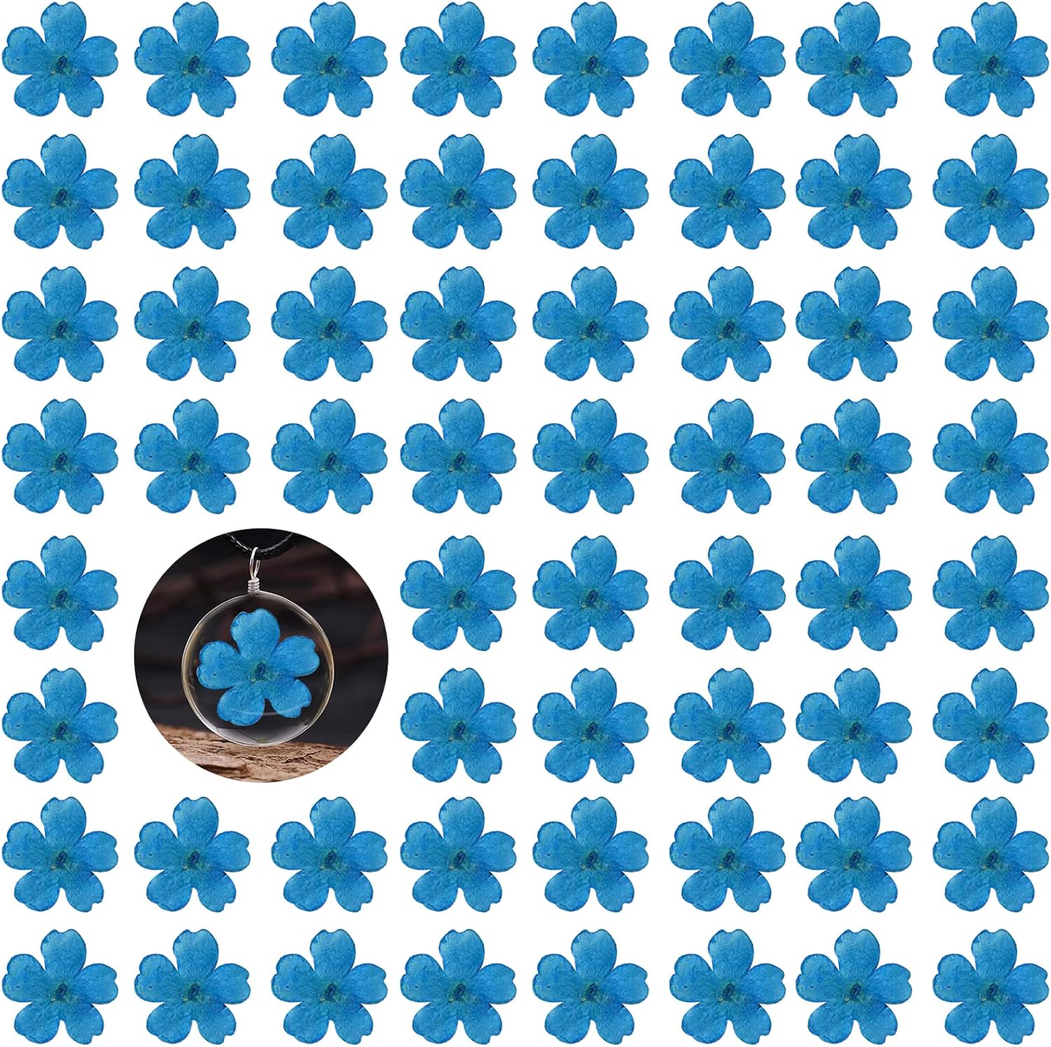 Blue Dried Cherry Blossom Flowers for Resin Decor 60PCS