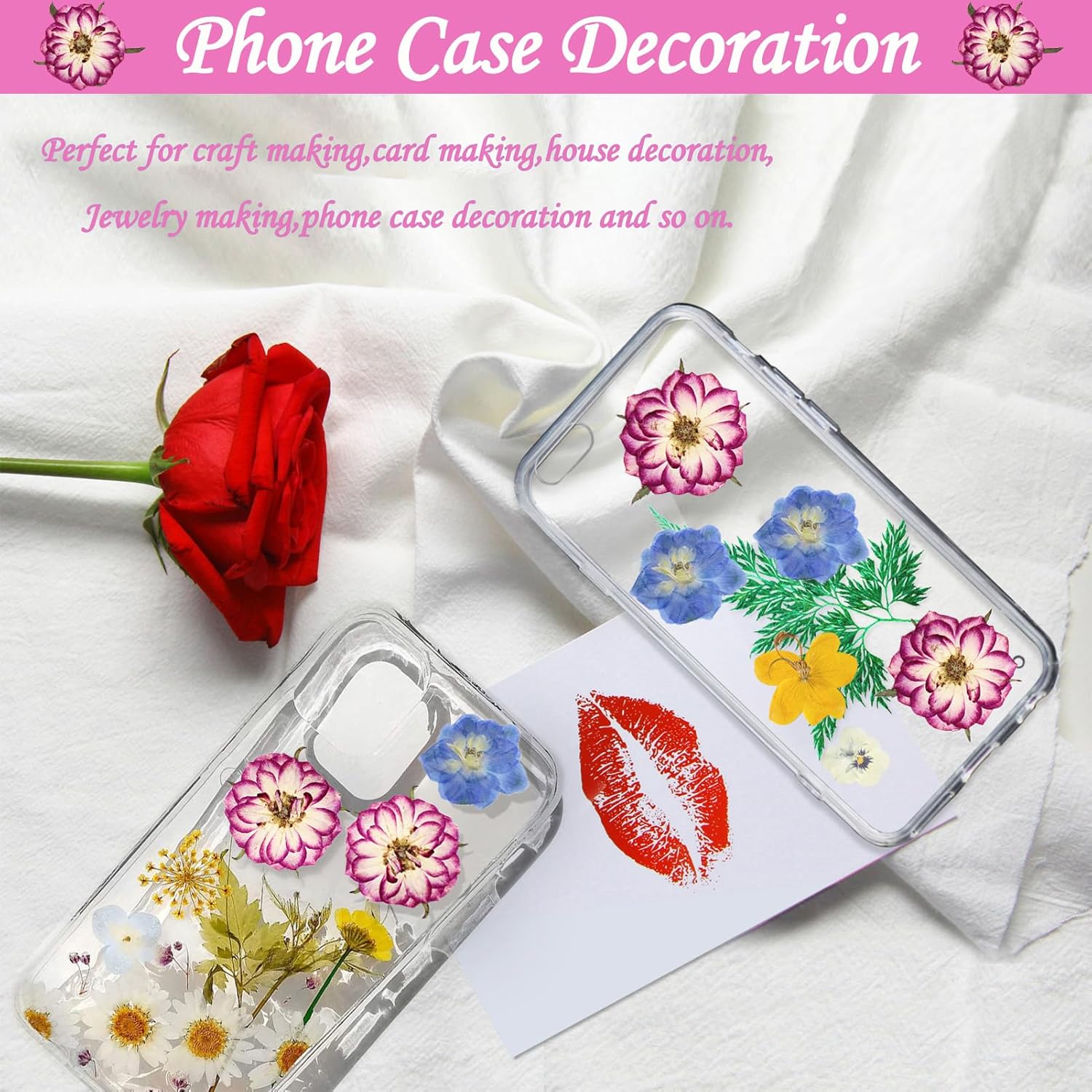 Natural Dried Two-Tone Rose Flowers for Resin Crafts