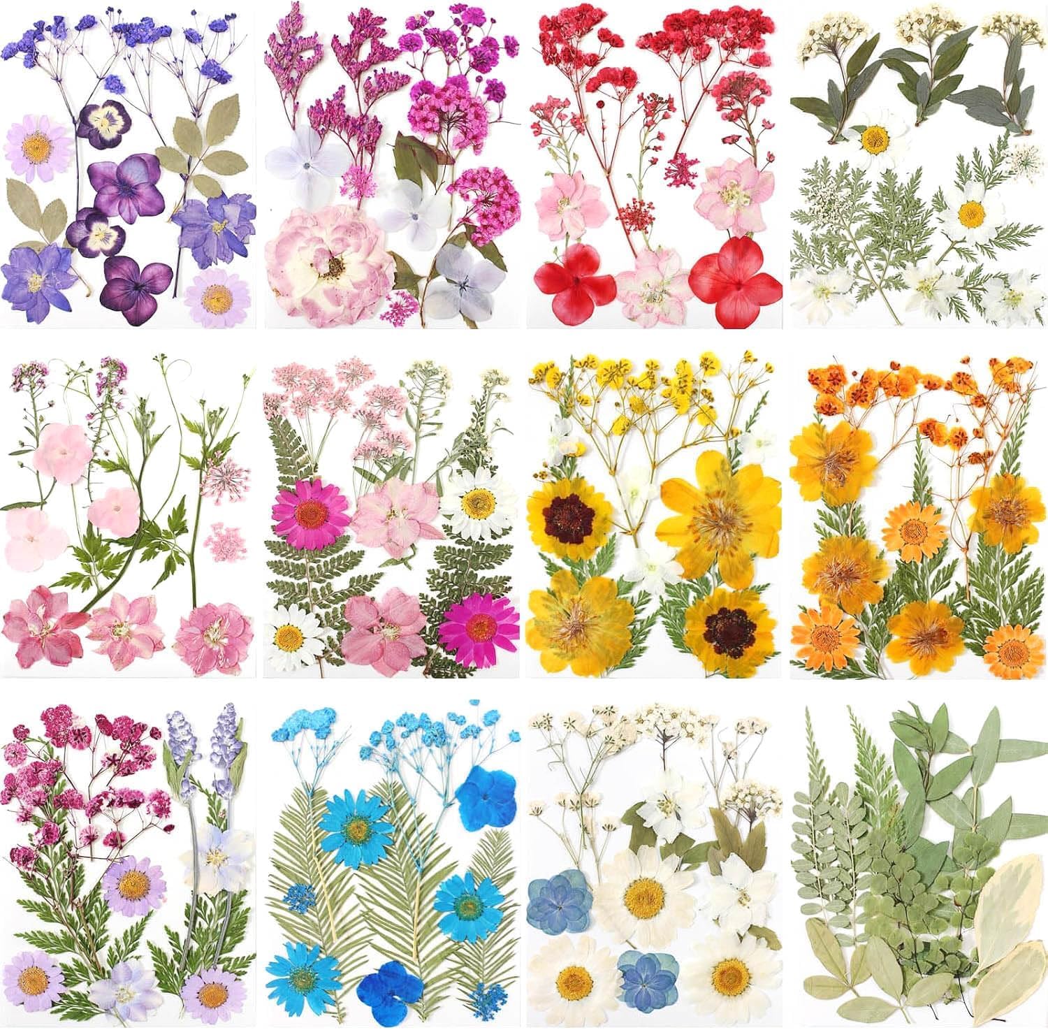 12 Packs Real Dried Flowers for Crafts and Decor