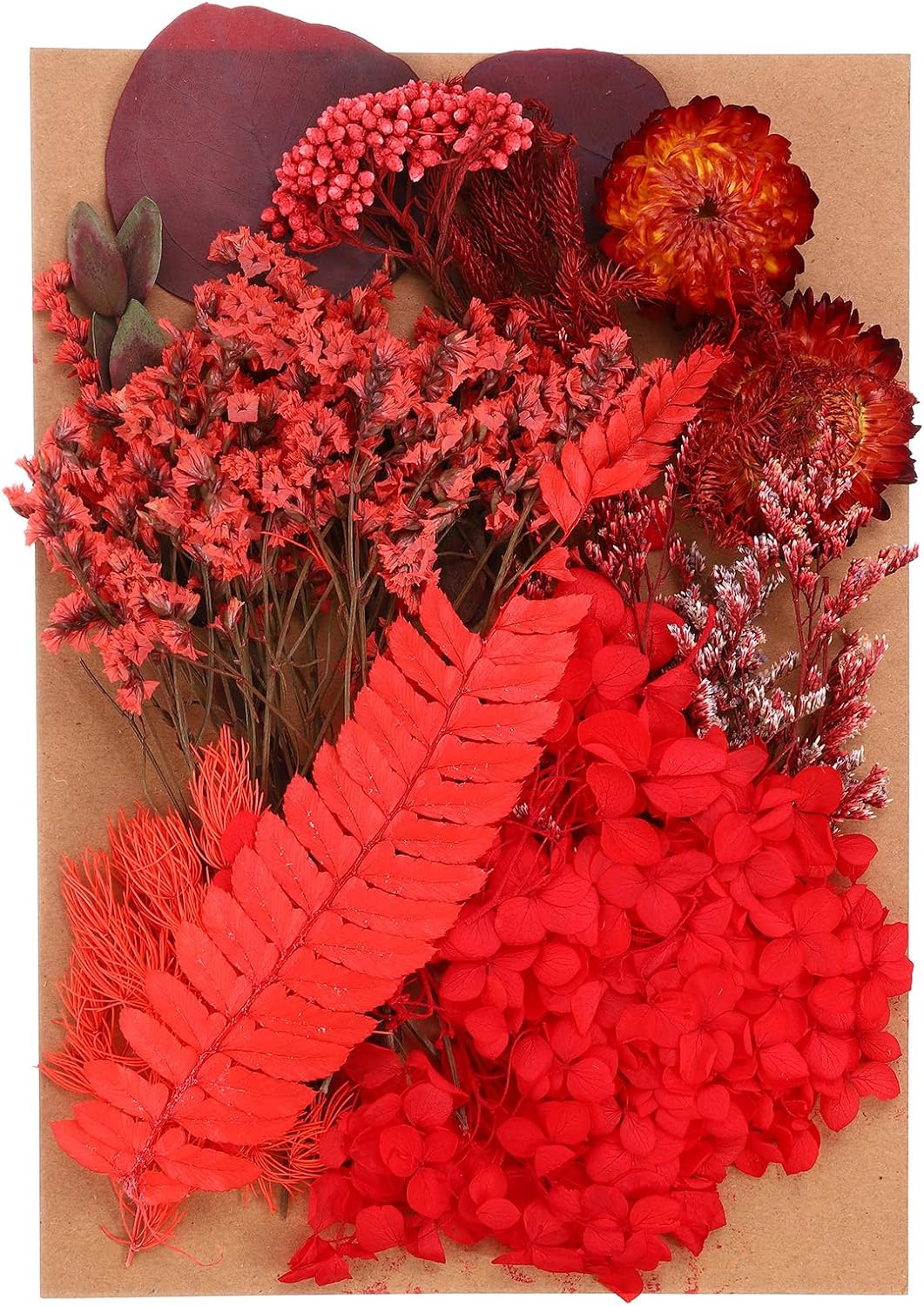 PATIKIL Pressed Flowers for Paper Crafts and DIY Projects
