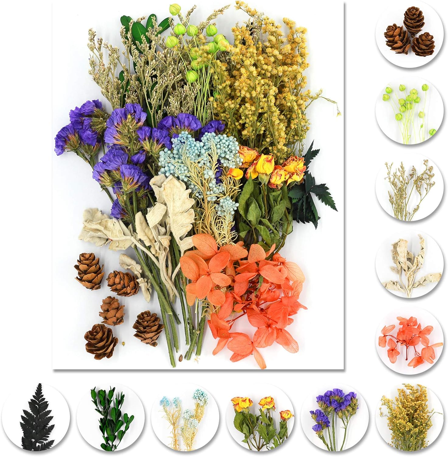 Vignee Real Dried Pressed Flower Daisies for Jewelry Crafting Violet Green