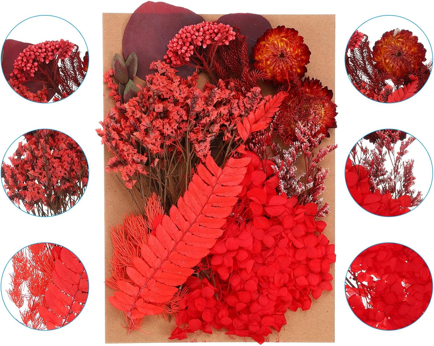 PATIKIL Pressed Flowers for Paper Crafts and DIY Projects