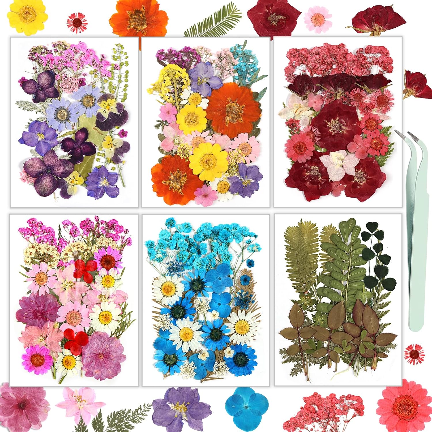 174 Pcs Dried Flowers Pressed for Craft Projects