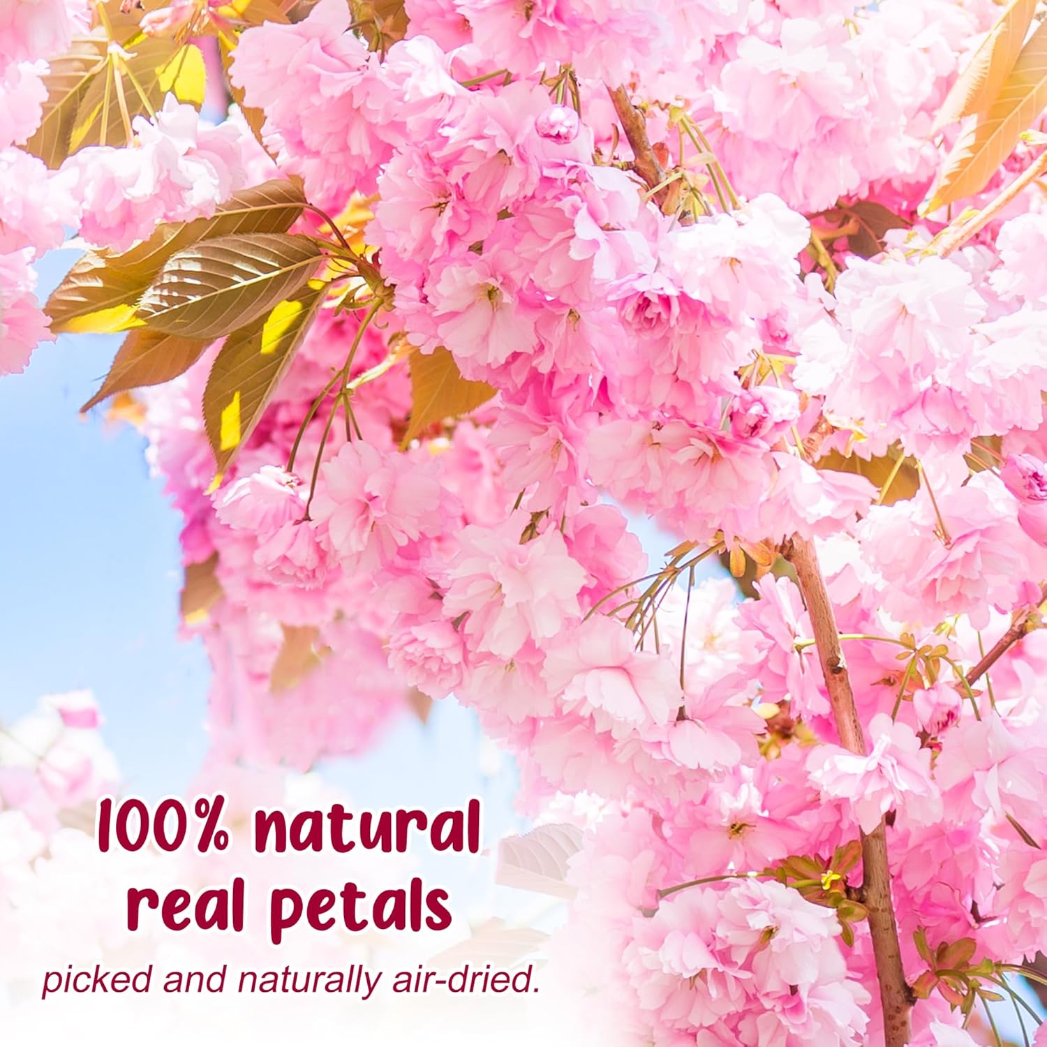48 Pcs Pink Cherry Blossom Dried Pressed Flowers for Crafts