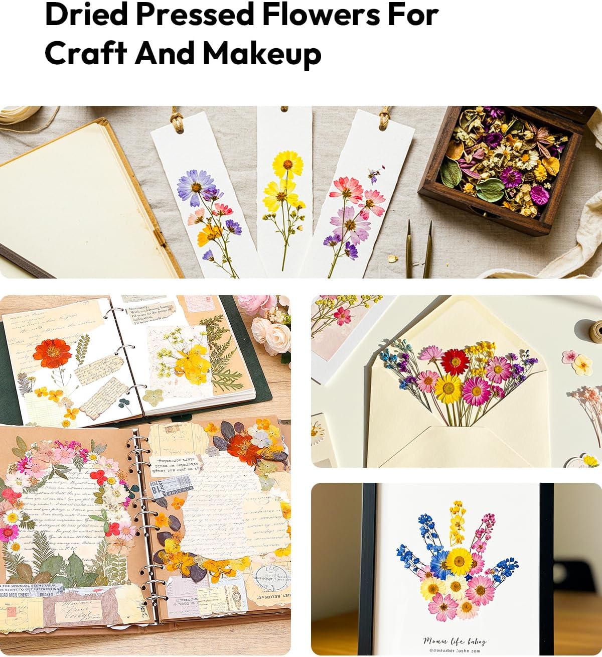 174 Pcs Dried Flowers Pressed for Craft Projects