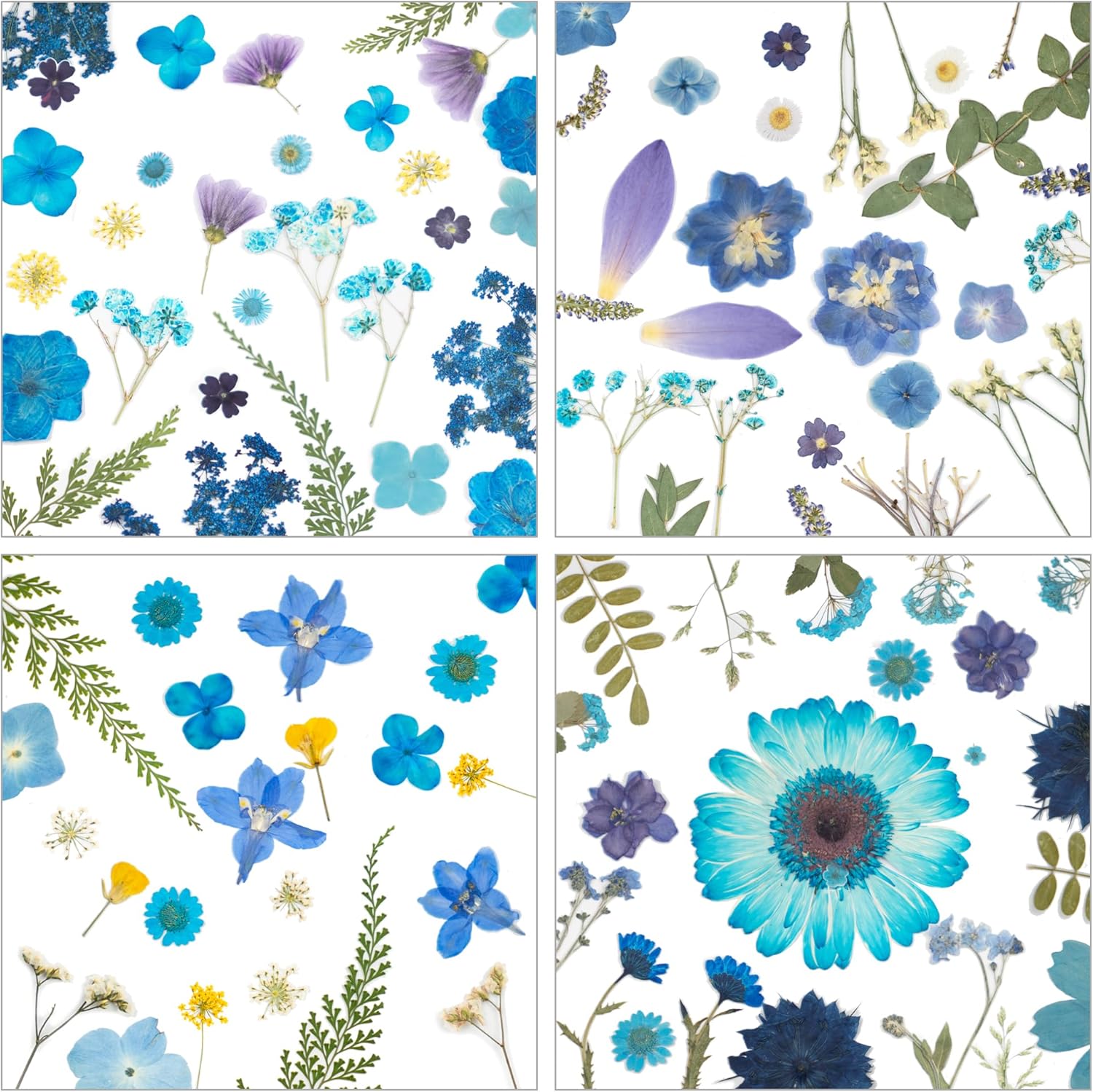 100 Pcs Dried Pressed Flowers for Epoxy Resin Jewelry and Scrapbooking
