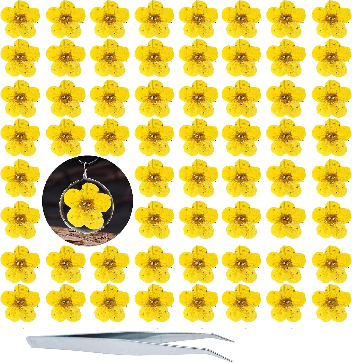 Pressed Dried Flowers 60PCS Yellow Plum Blossom for Resin Crafting and Scrapbooking