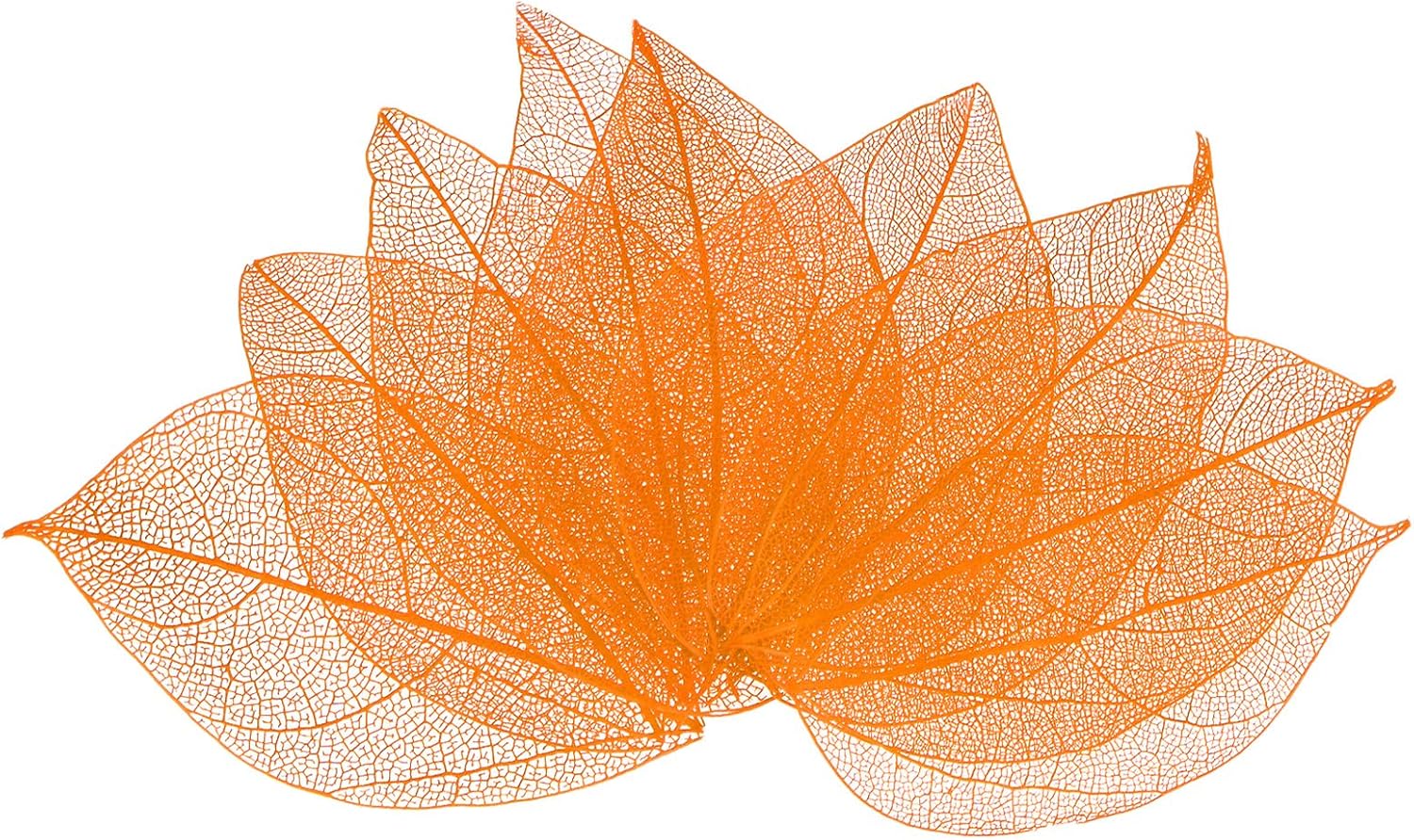 M Meterxity 100-Pack Skeleton Leaves Orange