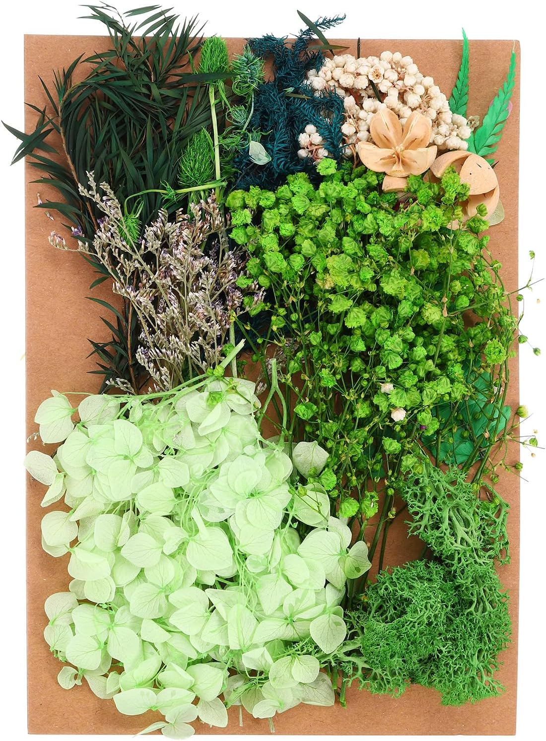 PATIKIL Dried Flowers for Crafting and DIY Projects