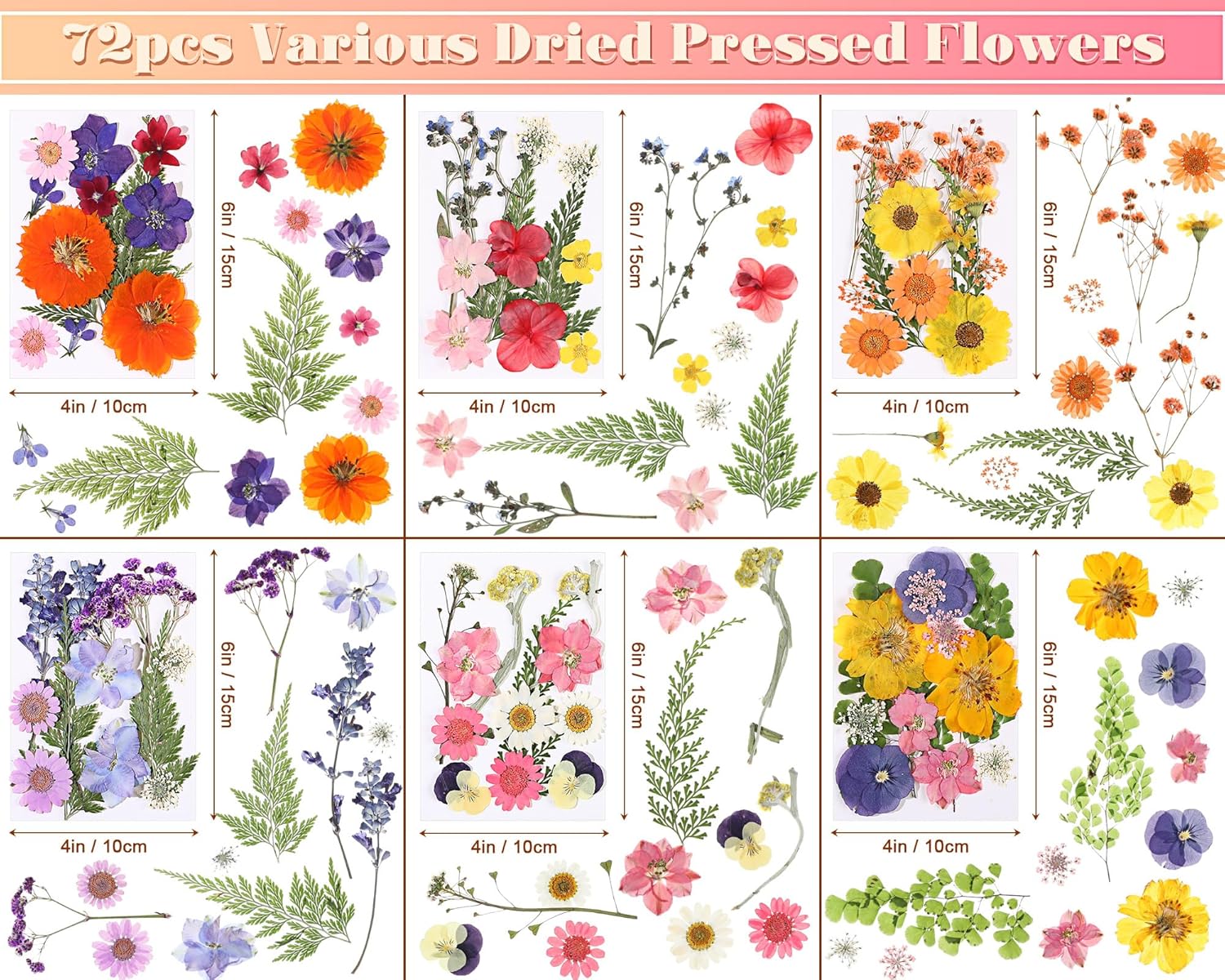 eBoot 72 Pcs Dried Pressed Flowers for Craft Projects