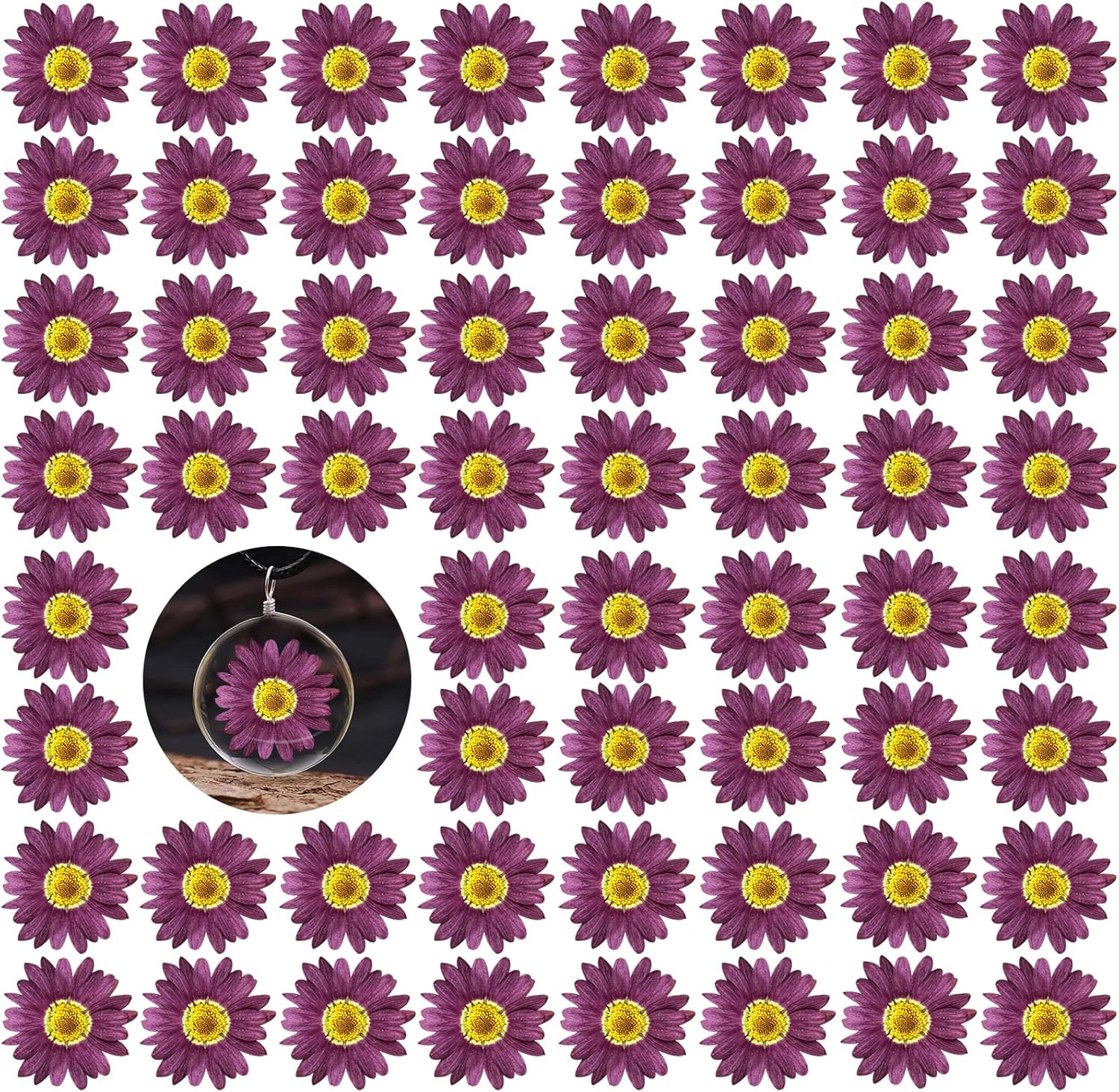 Purple Dried Sunflowers Margarita Daisies for Resin Crafts 60PCS