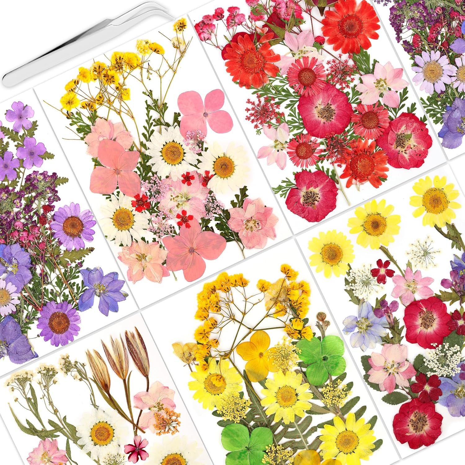 160 Pcs Dried Flowers Pressed Real Flowers for Resin Crafts