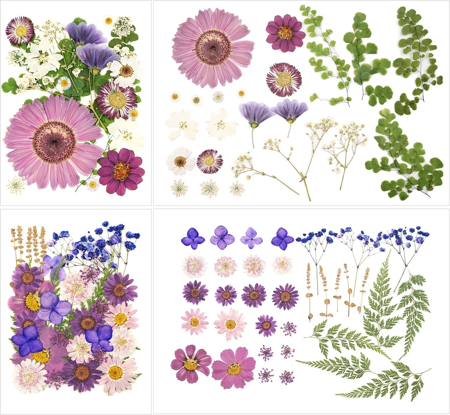 130 Pcs Dried Pressed Flowers for Resin Crafting DIY Projects