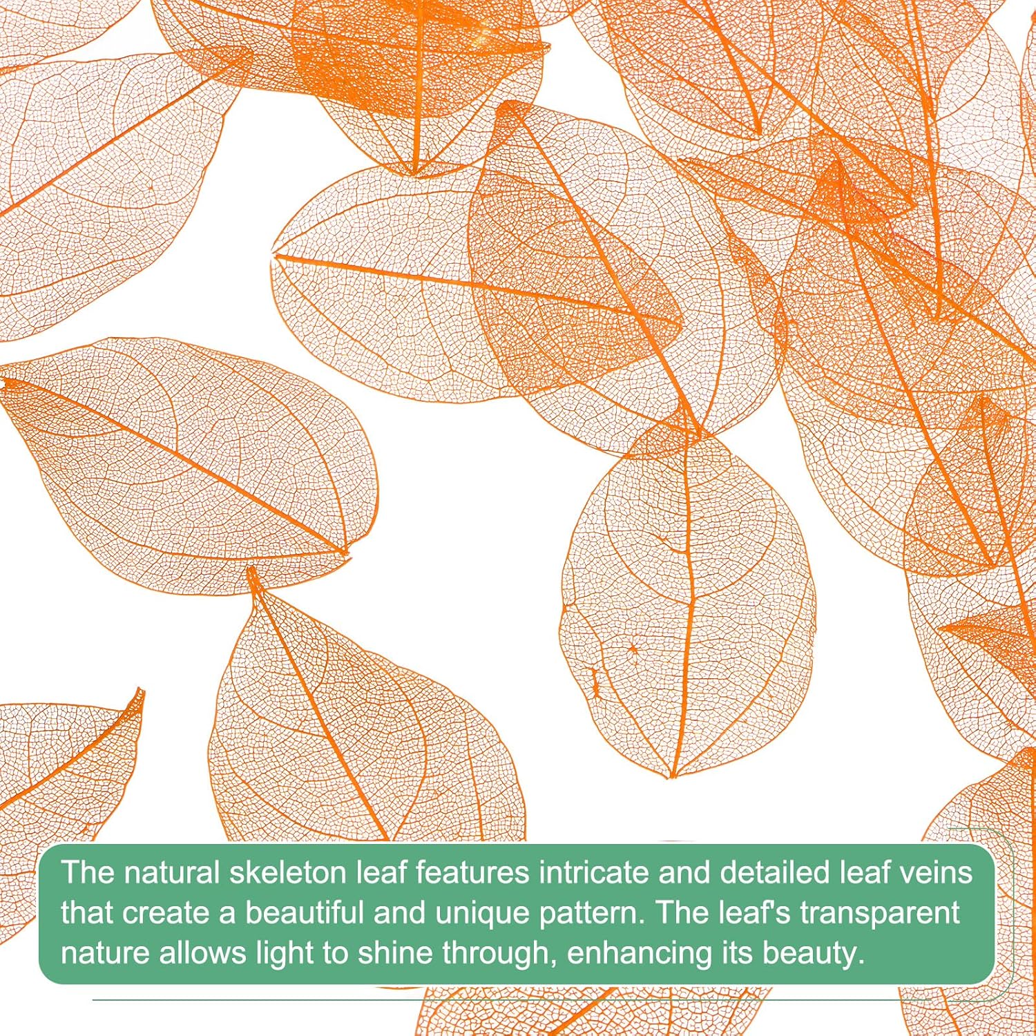 M Meterxity 100-Pack Skeleton Leaves Orange