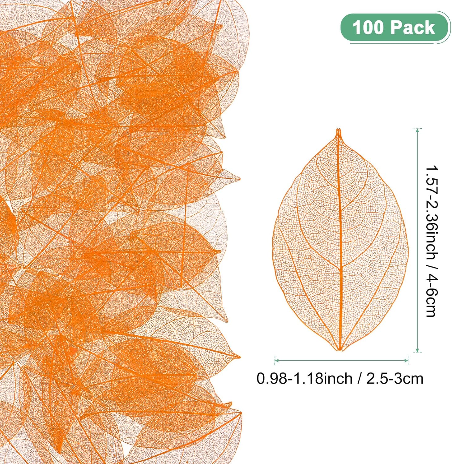 M Meterxity 100-Pack Skeleton Leaves Orange