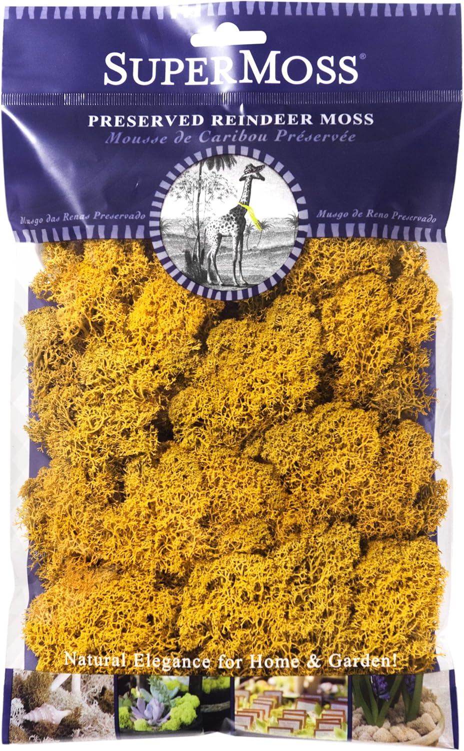 SuperMoss Reindeer Moss Preserved 2oz Mango