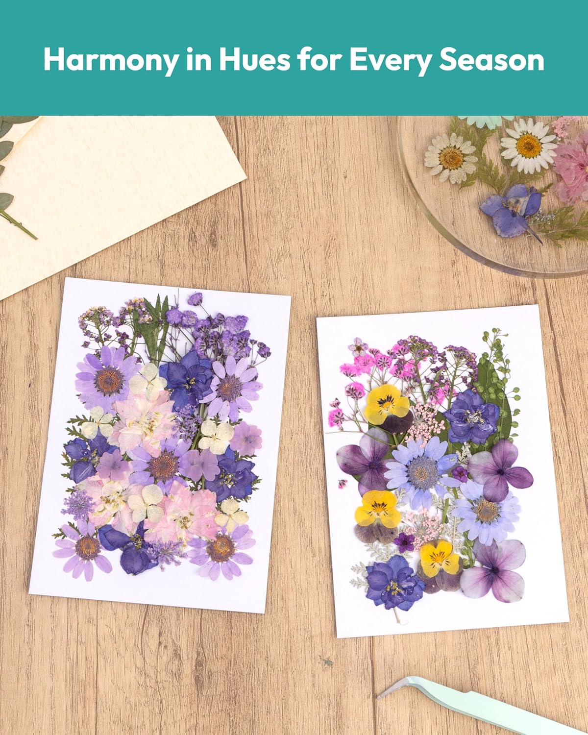 58 Pcs Dried Flowers Pressed Flowers Craft Kit