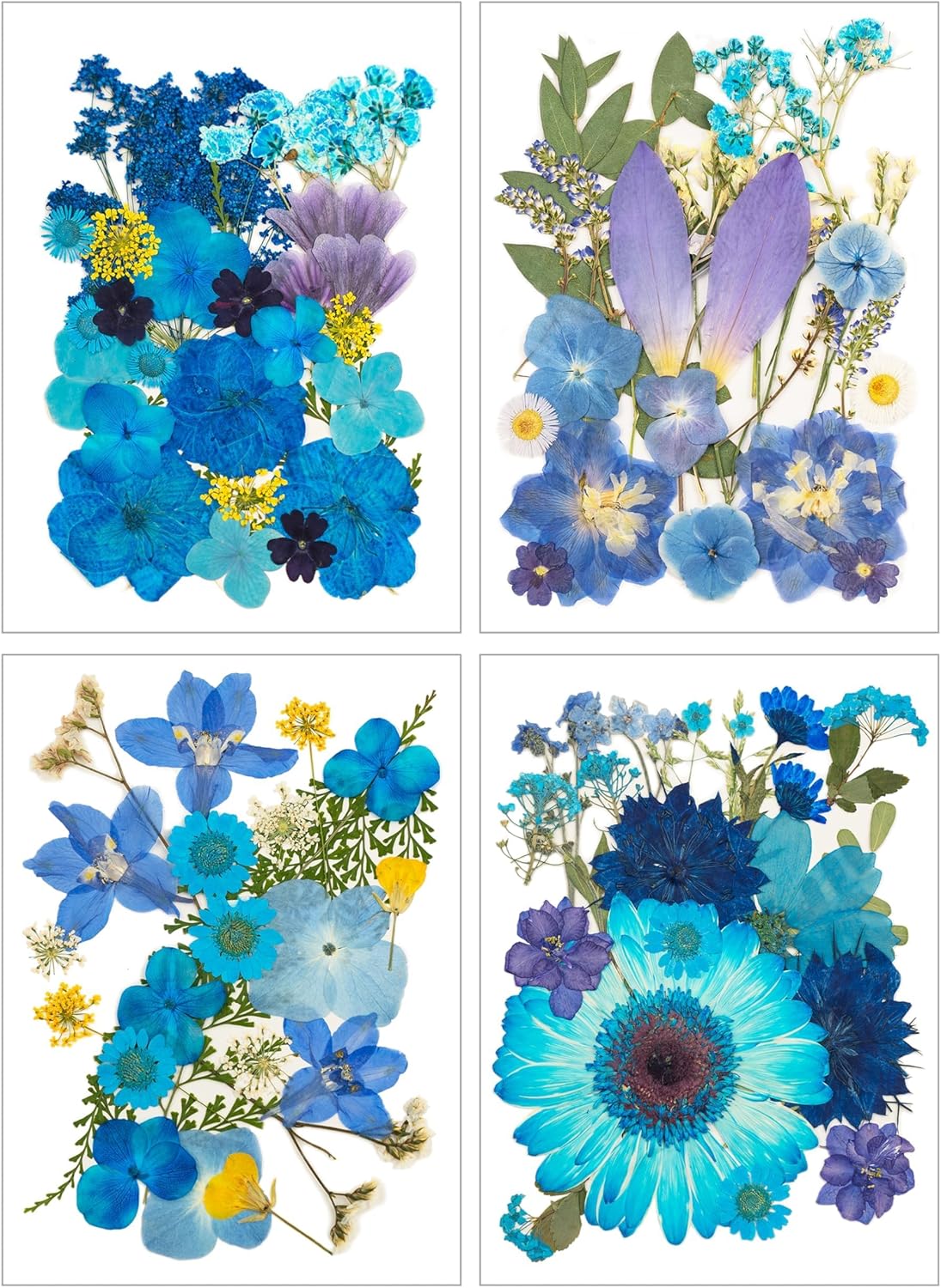 100 Pcs Dried Pressed Flowers for Epoxy Resin Jewelry and Scrapbooking