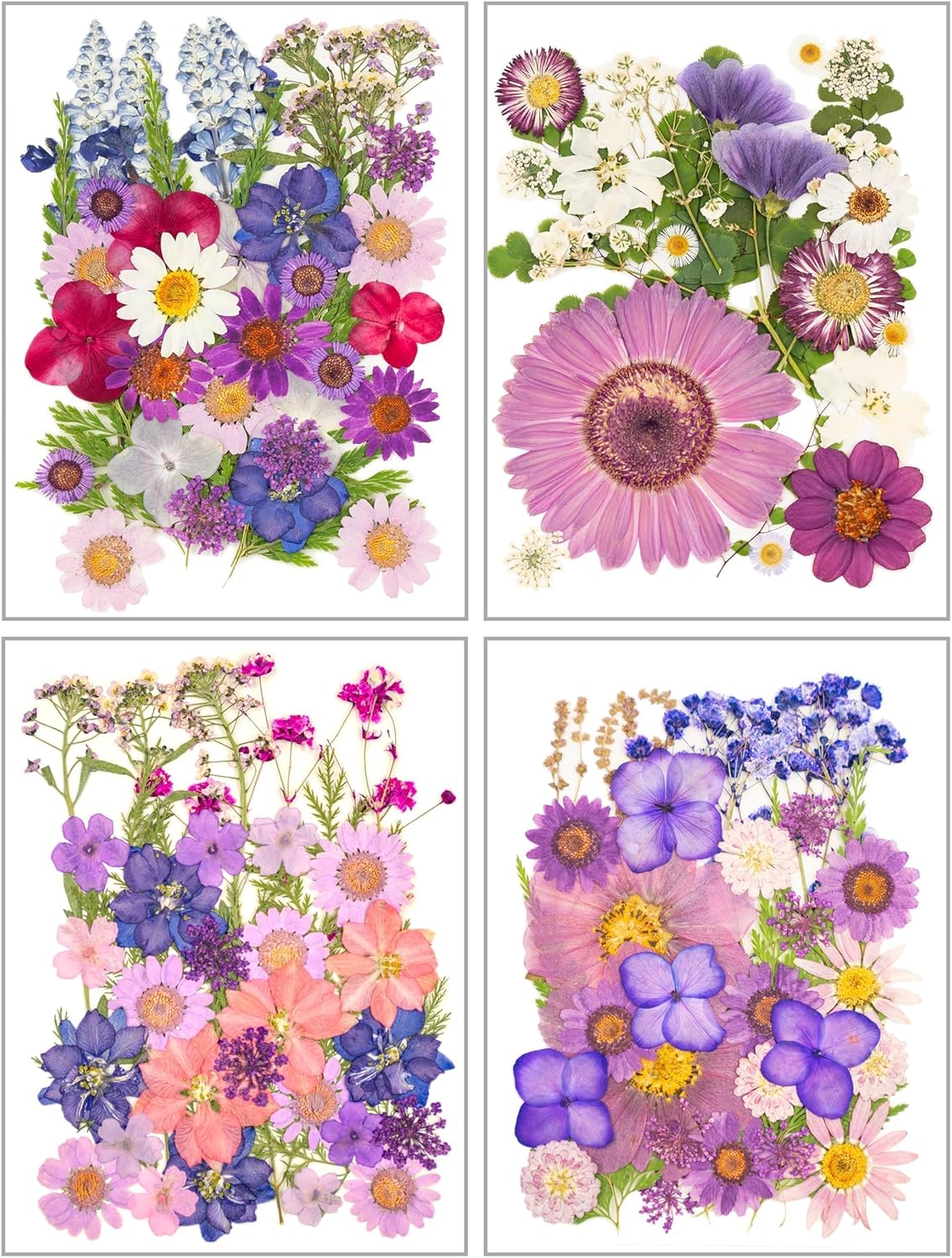 130 Pcs Dried Pressed Flowers for Resin Crafting DIY Projects