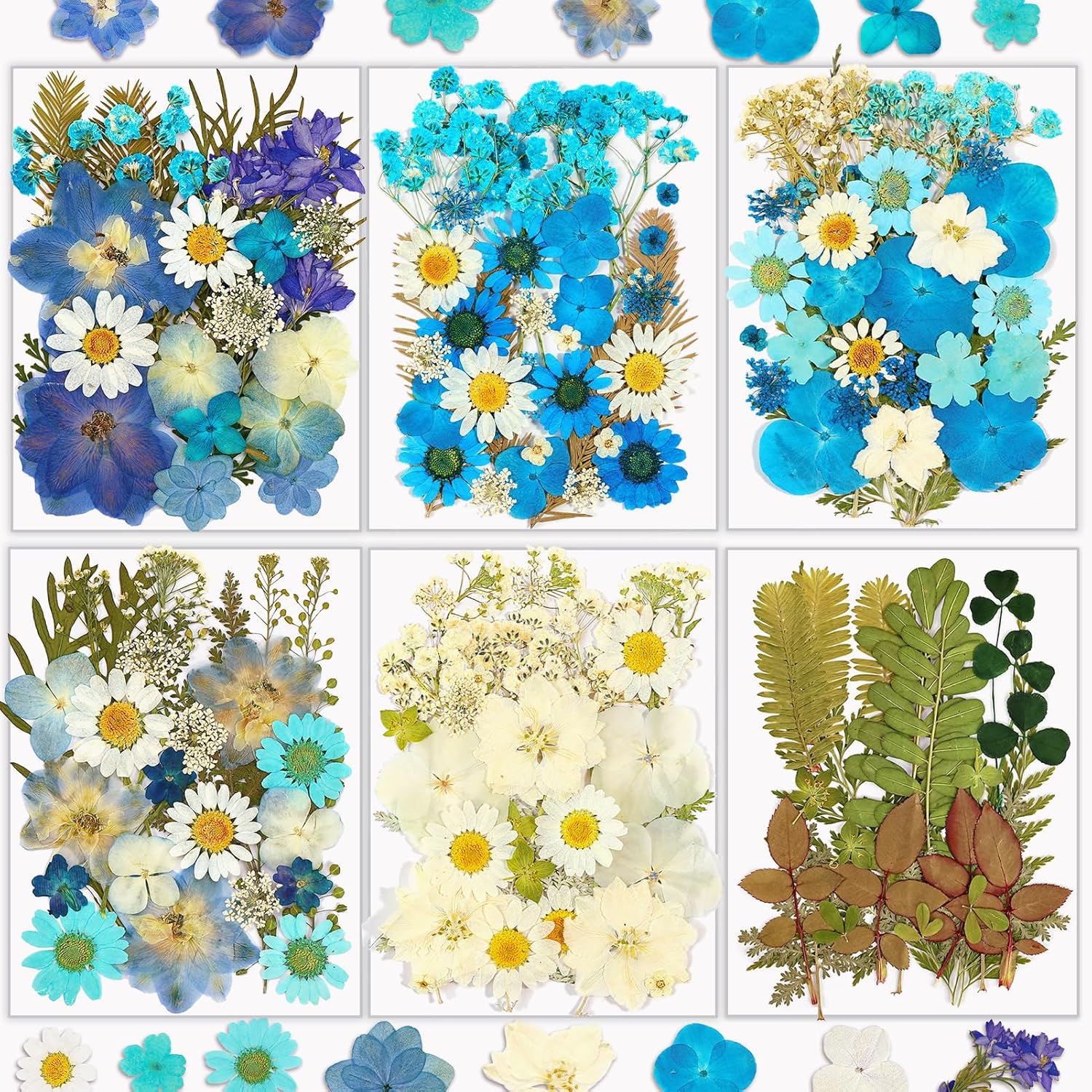 174 Pcs Dried Flowers Pressed for Crafts