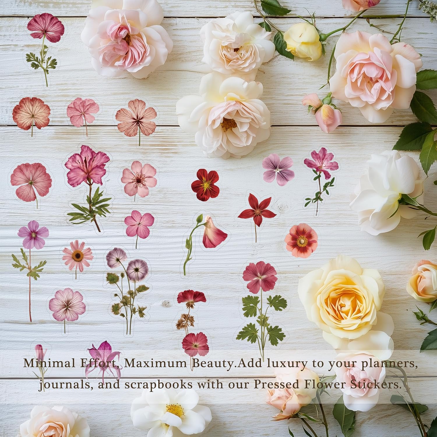 Pressed Flower Stickers 500 Pieces 36 Sheets